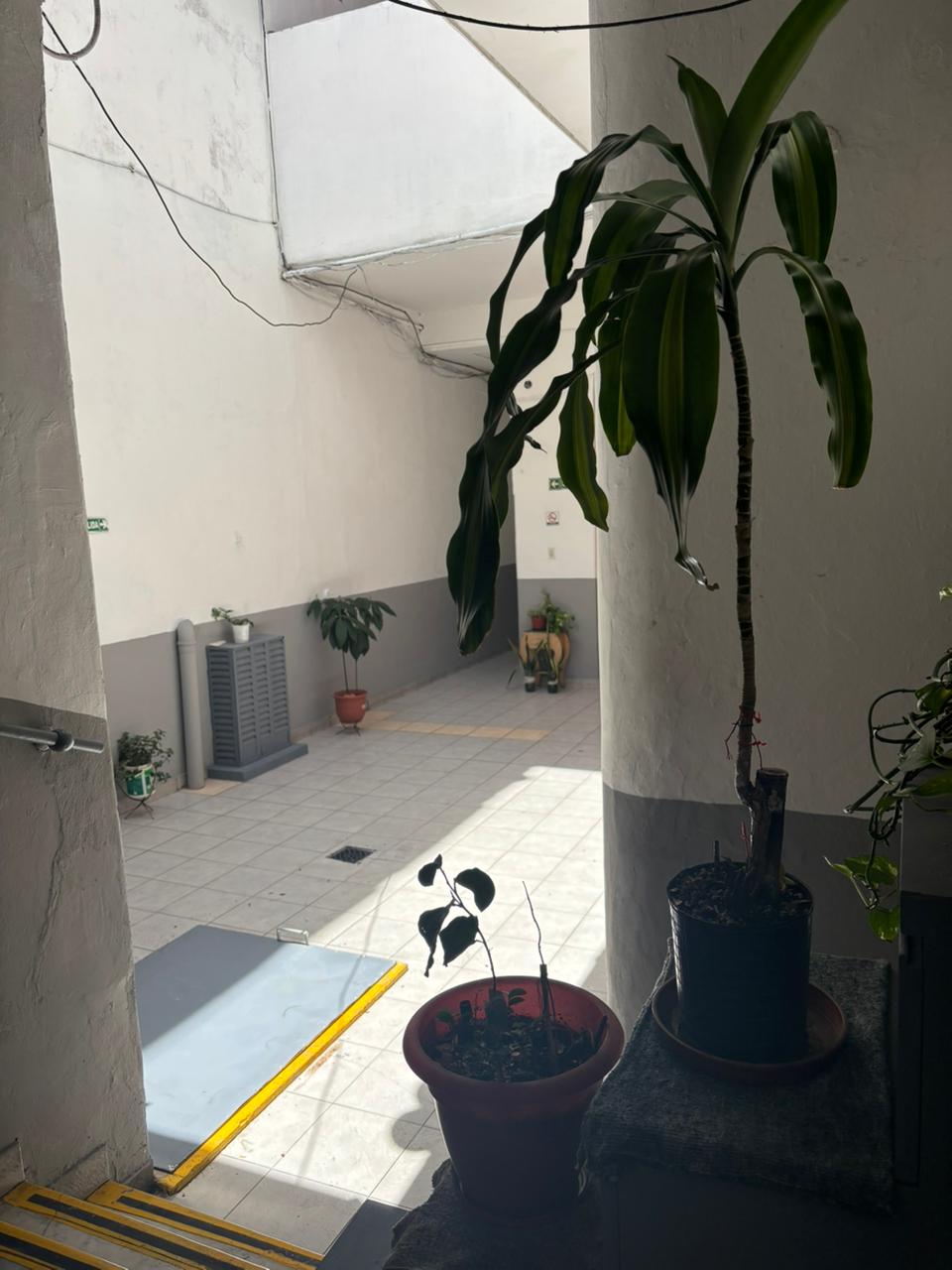 Imagen de la habitación
