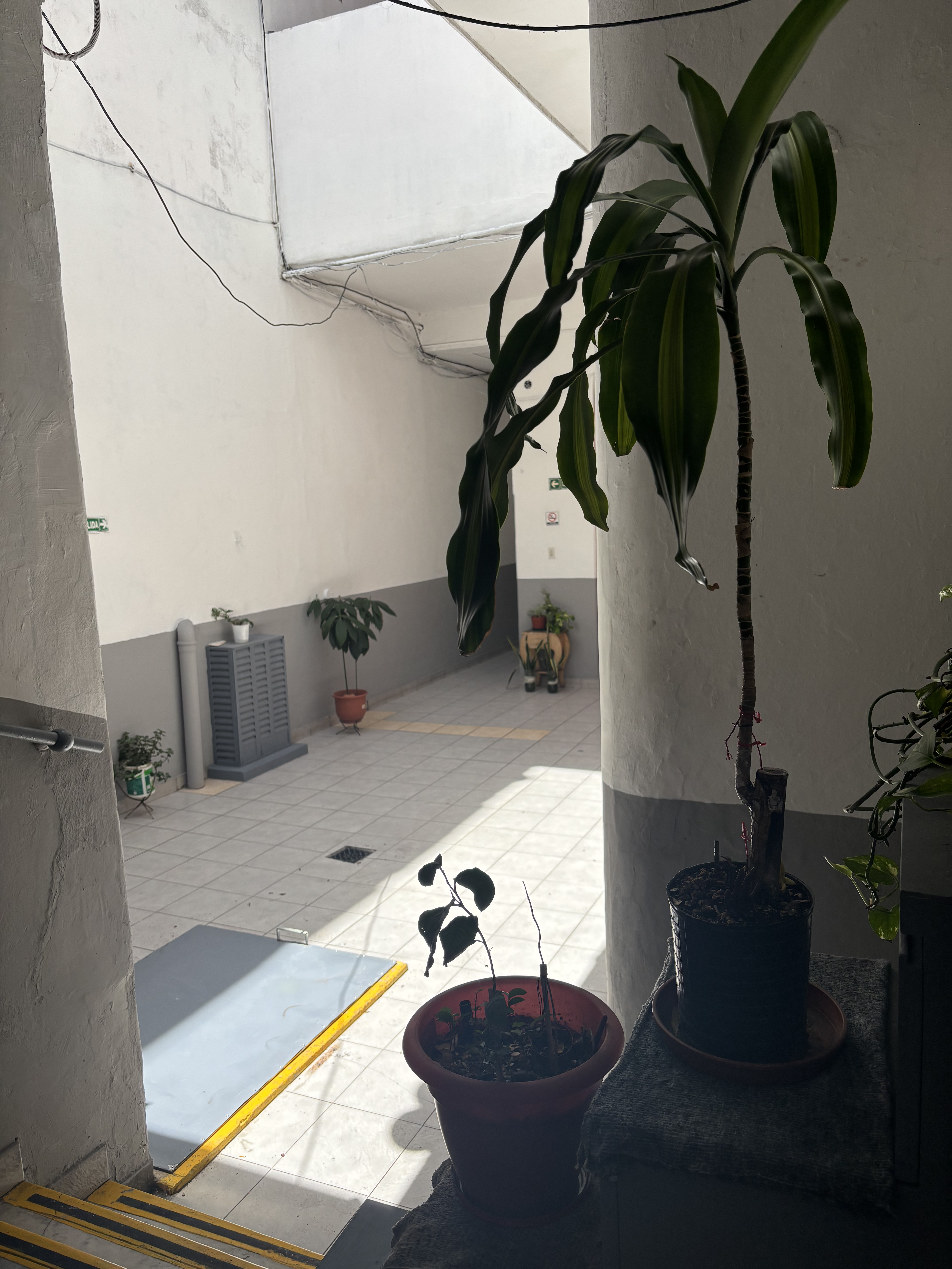 Imagen de la habitación